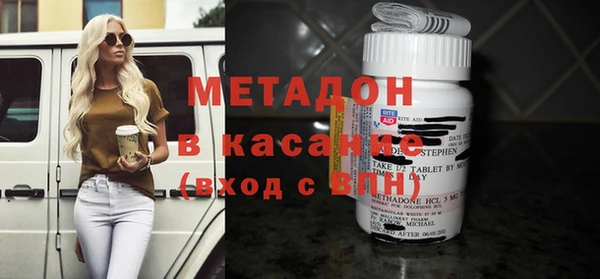 стаф Алзамай