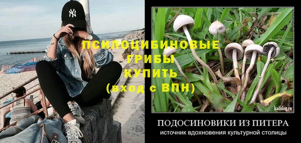 прущие грибы Алексеевка