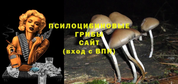 прущая мука Рославль