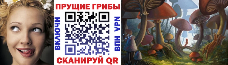 хочу   Ветлуга  Галлюциногенные грибы Magic Shrooms 